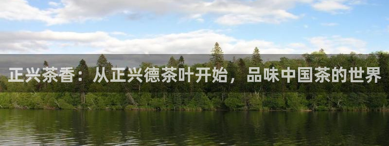 龙八国际网址是多少