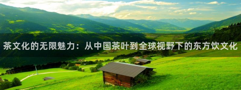 龙八国际娱乐dt 和老虎机