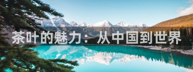 龙八国际app怎么下载