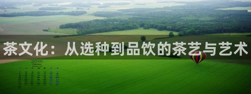 龙八国际娱乐网