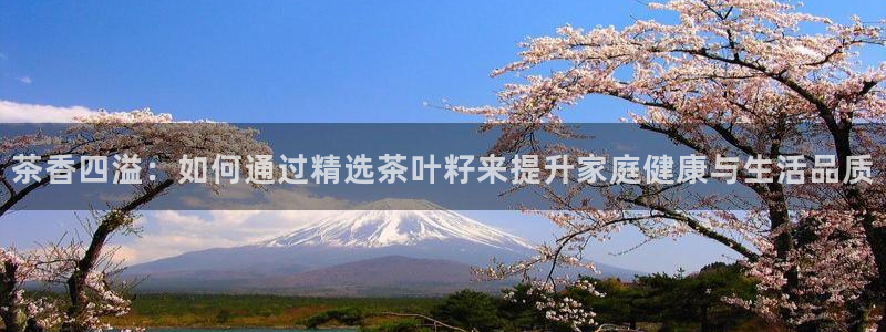 手机版龙八国际官网