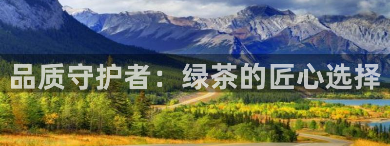 龙八国际娱乐官方