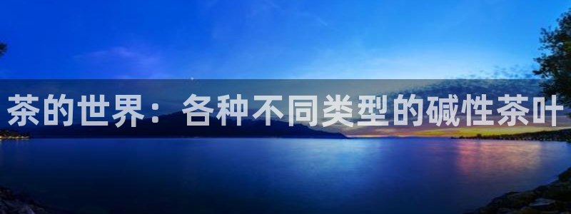 龙八国际app