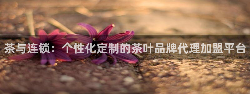 下载龙八国际手机版游戏