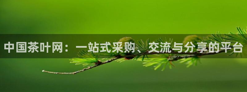 龙八国际娱乐手机版