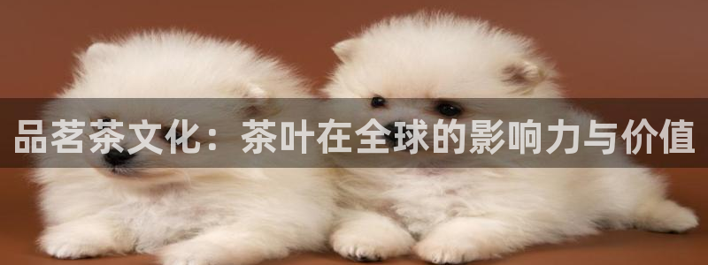 龙八国际什么诈骗