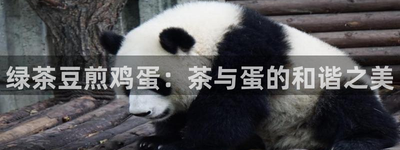 龙八国际网站登录