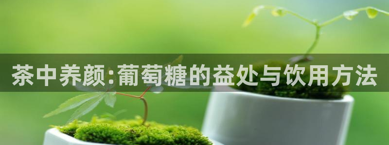 龙八国际城网站