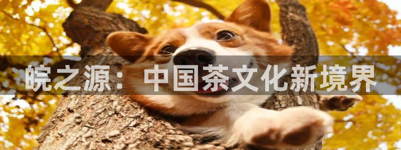 龙八国际管网登陆