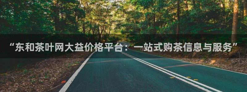 龙八国际app怎么下载