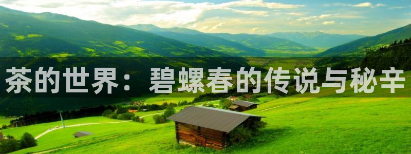 龙八国际app下载