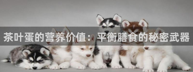 龙八国际头号玩家