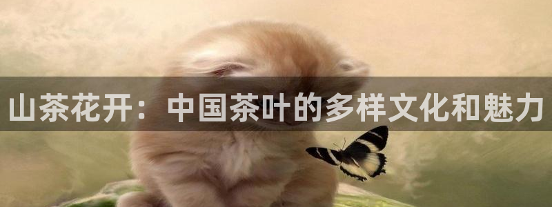 龙八国际免费下载