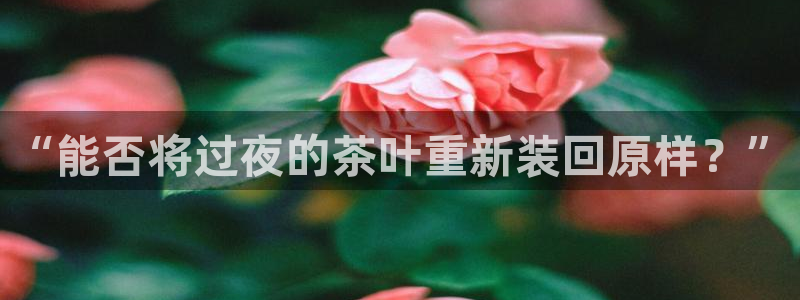 龙八国际pt客户端