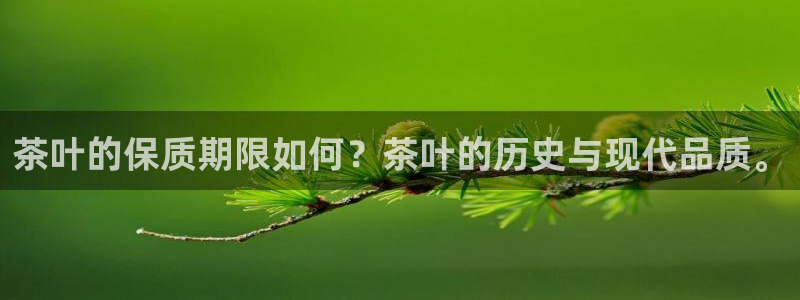 龙八国际 long5658.com