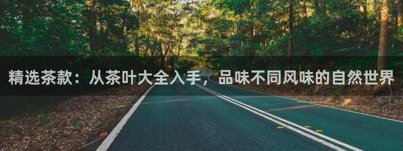 龙八国际网页版