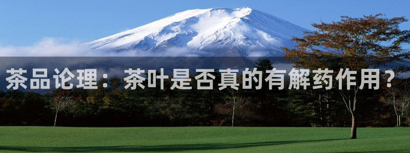 龙八国际城网站