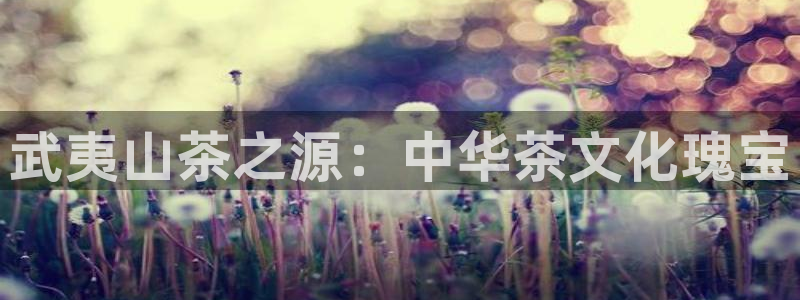 龙八国际游戏下载地址