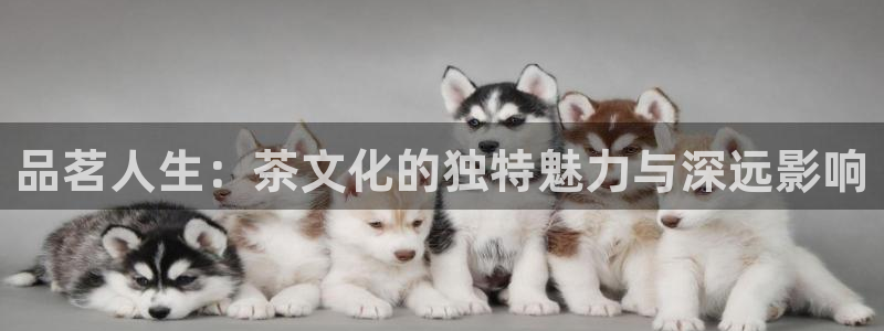 龙八国际手机版官网平台