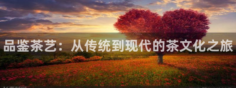 龙八国际娱乐官网注册