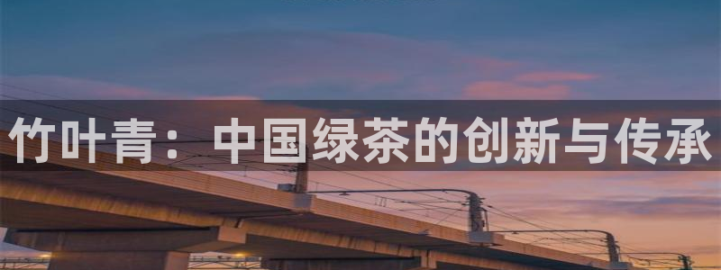 龙八国际网b48点tv