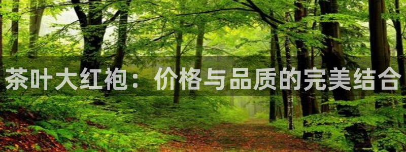 龙八国际能赢钱吗