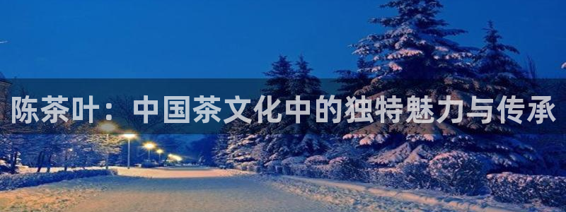 龙八国际服官网入口地址