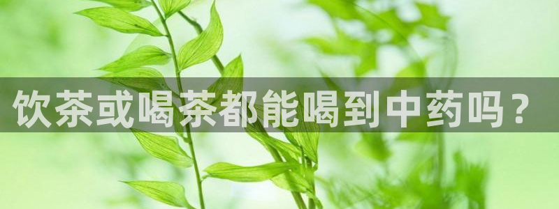 龙八国际娱乐官方网站