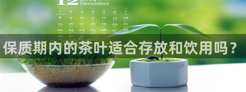 龙八国际官方网站pt