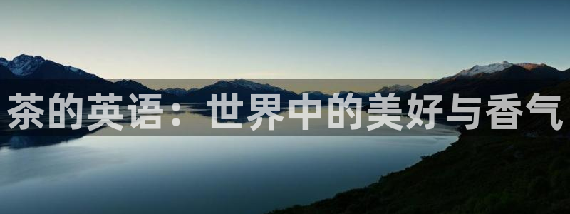 龙八国际网站手机版