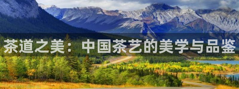 龙八国际app首页