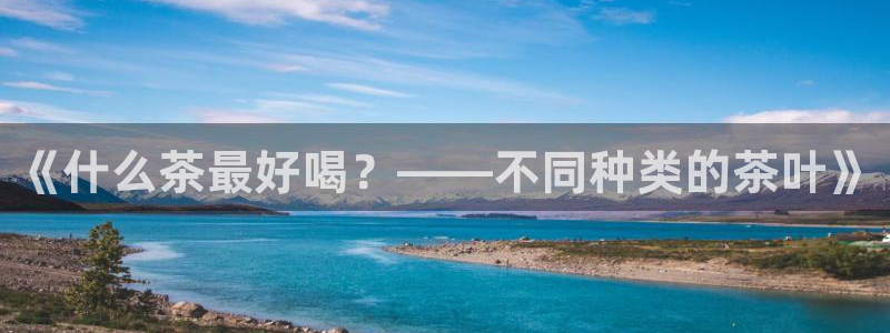 龙八国际app客户端