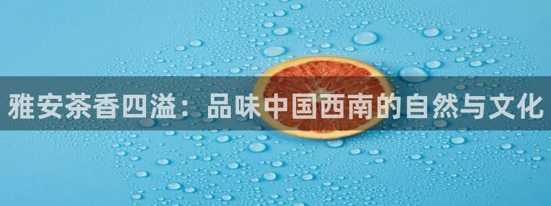 龙八国际网站全网