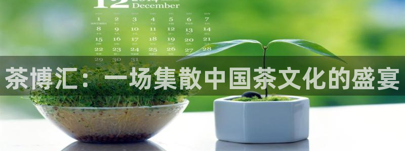 龙八国际娯乐城