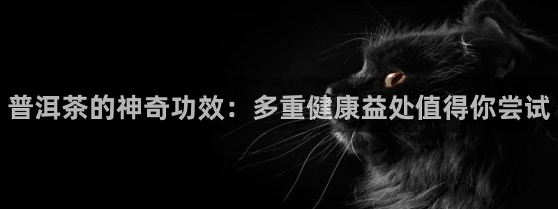 龙八国际娱乐群