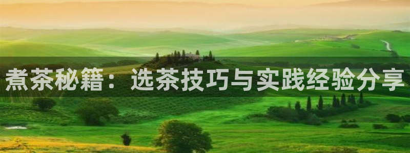 龙八国际老虎机下载