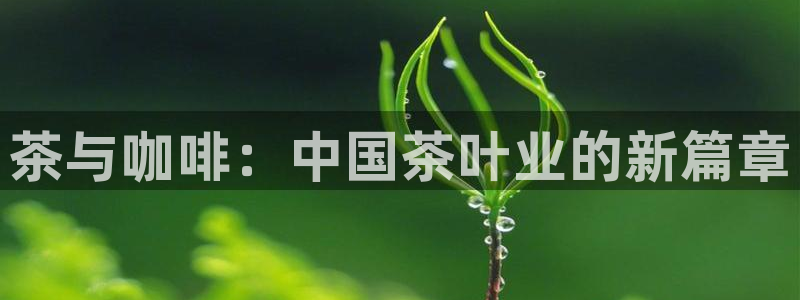 龙八国际官网手机版登陆