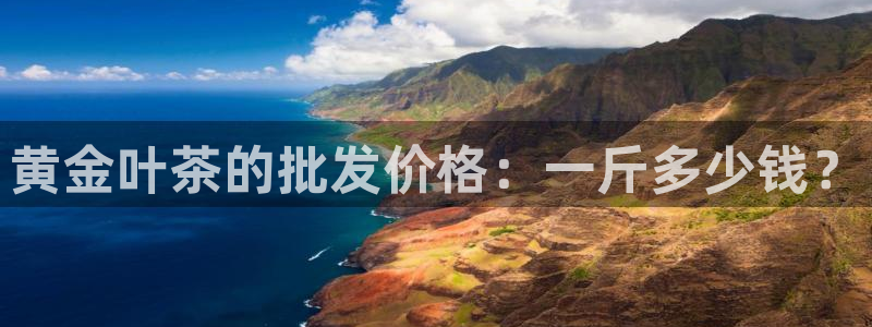 龙八国际娱乐网