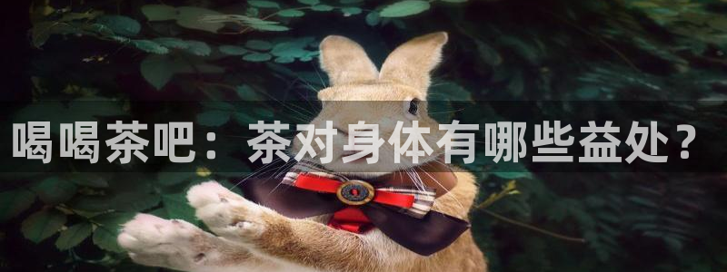 菲律宾的龙八国际