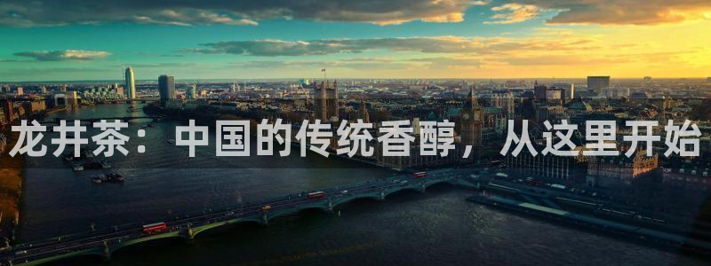 龙八国际服官网下载安装