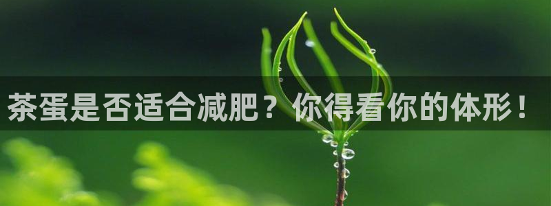 龙八国际app首页